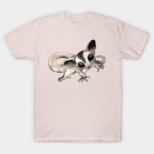 Cutest Sugar Glider T-Shirt